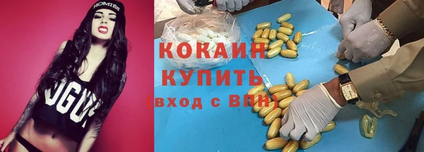 спиды Лиски
