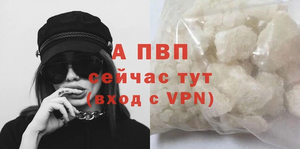 спиды Лиски