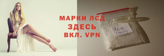 стафф Лихославль