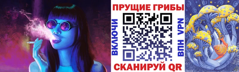 Псилоцибиновые грибы мицелий  Купить закладки  Кондрово 